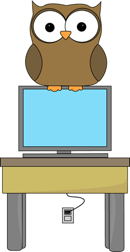 Owl on Computer